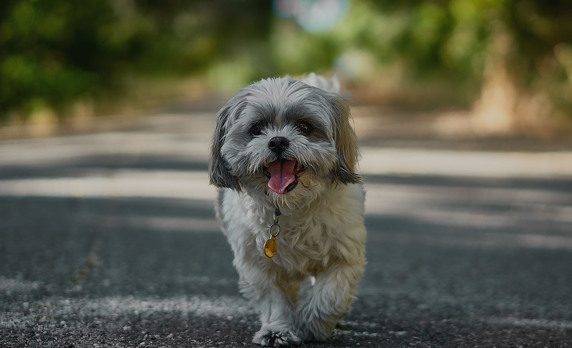 Slider 2