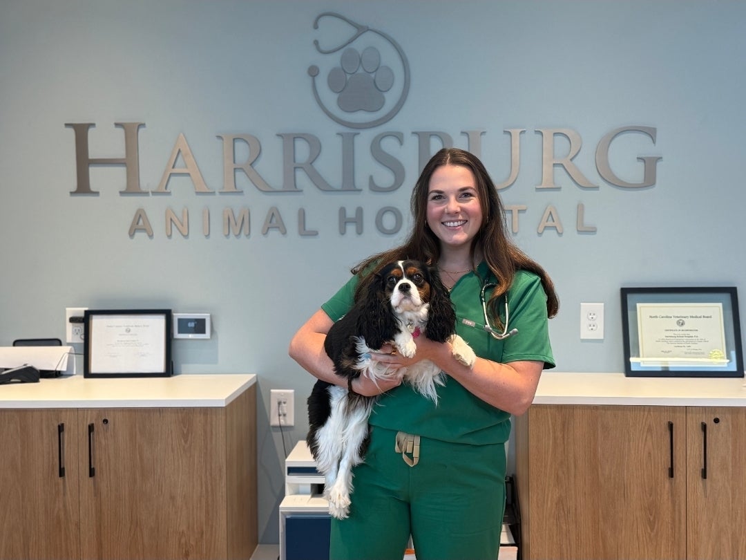 Harrisburg Animal Hospital Veterinarian - Dr. Kennedy Chambers