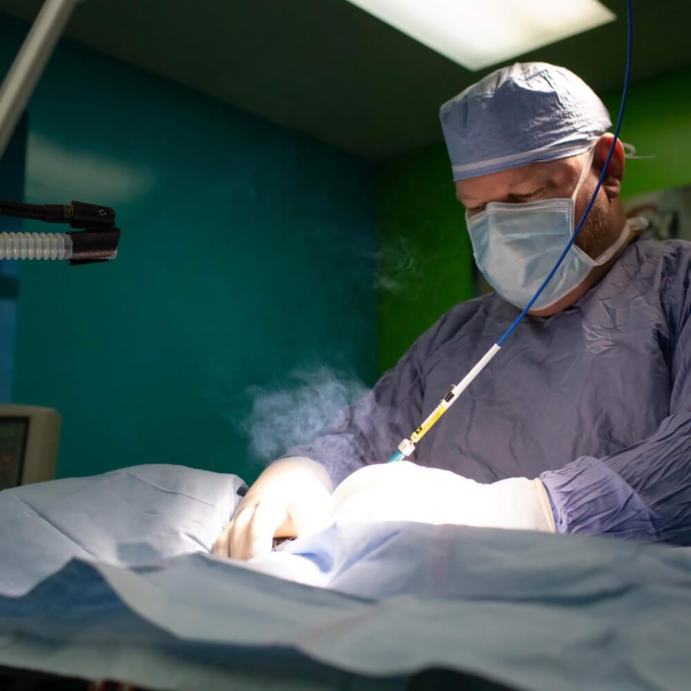 Pet Surgery in Harrisburg